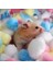 No.5 Tarzı Gösteri Olarak Hamster Pamuk Topları Kış Sıcak Hamster Yuva Malzemesi Renkli Sevimli Mini Toplar Küçük Evcil Hayvan Kafesi Aksesuarları (Yurt Dışından) 2