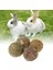 No.1 Tarzı Hamster Çiğneme Diş Taşlama Topu Doğal Ot Oyun Oyuncakları Tavşan Kobay Köpekbalığı Ilaçları Için Küçük Hayvan Malzemeleri (Yurt Dışından) 4