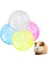 Sarı Stil 10CM Plastik Açık Hava Spor Topu Toprak Fare Küçük Evcil Kemirgen Hamster Gerbil Fare Egzersiz Topları Oyuncağı (Yurt Dışından) 4