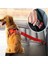 Mavi Stil Evcil Hayvanlar Için Araba Koltuğu Kemeri ve Tasma Seti - Köpek Malzemeleri (Yurt Dışından) 2