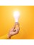 Lighteck 9 W Beyaz LED Ampul Tekli 2