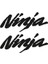 Kawasaki Ninja Uyumlu (15x6 Cm) Sticker 1