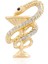 Eczacı Broş & Yaka Takısı Eczane Gold Rengi 1