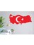 Canım Ülkem Türkiyem Haritası ve Ay-Yıldızım Duvar Dekor Ürünü 2