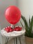 Pastel Kırmızı Balon 10LU 2