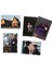 Panini Wednesday Koleksiyon Sticker Çıkartmaları + 5 Paket (25 Adet Sticker) 3