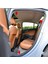 Renault Megane 1 Kapı ve Bagaj Fitilleri 3