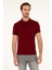 Erkek Plum Tişört Basic 50262933-VR177 1