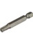 Bits Torx Alyan Uç T30x50 Vidalara Uyumlu Sıçan Diş, Dayanıklı ve Güçlü Takım 1