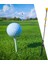 Golf Salıncak I Ayarlanabilir Salıncak Çubuğu Tempoyu Iştirir Düzeltme Sarı (Yurt Dışından) 5