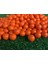 Turuncu Tarzı Golf Elastik Topu Vuruş Gülle Atma Eğitimi Uygulama Yardımı Salıncak Spor Uygulaması Taşınabilir Kolay Kullanım Golf Topları Köpük Topları (Yurt Dışından) 1