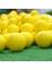 Turuncu Tarzı Golf Elastik Topu Vuruş Gülle Atma Eğitimi Uygulama Yardımı Salıncak Spor Uygulaması Taşınabilir Kolay Kullanım Golf Topları Köpük Topları (Yurt Dışından) 3