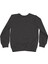 Ayı Baskılı Bisiklet Yaka Sweatshirt 2