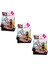 Parmak Kaykay - Bb501a-1 (Lisinya) 2
