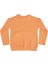 Daisy Baskılı Bisiklet Yaka Sweatshirt 3