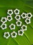 3x3 cm 15 Adet Beyaz Plastik Delikli Çiçek Boncuk 1