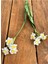 Yapay Çiçek Narcissus Tazetta Dal Nergis Bitki Ortalama 49CM Green House Star Dekor 1 Adet 5