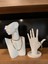 Dekoratif Takı Mankeni Teşhir Standı 25 cm Orta Boy 2li Set 5