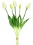 Yapay Islak Lale Beyaz 43 cm 1