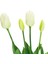 Yapay Islak Lale Beyaz 43 cm 2