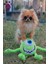 Küçük Irk Köpek Tişört Mike 2