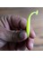 Minnow Shad Silikon Balık Yem 70MM 1,6gr 4 Adet 3