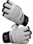 Taekwondo Eldiveni 2