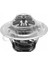 VER-TH5962.88J Termostat Golf V-Vı-Plus-Jetta Iıı-Pass... 1