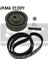SKF-VKMA01009 Triger Seti Golf Iıı 91-97 -Polo Clas. 95-0... 1