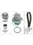 INA-530020133 Devirdaimli Triger Seti 120×300 T5-Caddy-Pa... 1