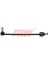 Rıw RIW-CI4915 Stabilizer Z Rotu Xsara Xantıa 1