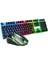 Bgrgkms Gaming Aydınlatmalı Klavye + Mouse Q Set 2