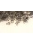 5014 Inox Sahte Balık Maket Klipsi Nikel Snap 250LI Paket 2