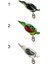 3073 Simulate Duck Soft 11GR 7cm Turna Silikonu Suni Yem 2
