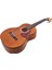 Gitar Pena Korumalığı PG165YR Pick Guard 4