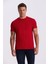 Kırmızı %100 Pamuk Slim Fit Bisiklet Yaka Basic T-Shirt 4