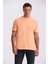 Turuncu %100 Pamuk Desenli Bisiklet Yaka T-Shirt 1