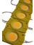 12 Volt 2.4 Watt Tekli Su Geçirmez Modül Led Sarı (Amber) (10 Adet) 4