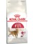 Fit 32 Yetişkin Kedi Maması 2 kg 2