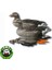 Bean Goose Kaz Mühre - (3 Erkek-3 Dişi) 1