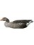 Bean Goose Kaz Mühre - (3 Erkek-3 Dişi) 4
