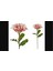 Lilyum Pembe Beyaz 76CM Decorative Yapay Gerçekçi Yeşil Yapraklı Bükülebilir Obje Çiçek 1 Adet 1
