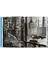 Matisse. Cut-Outs. 40TH Ed. 9783836589192 7
