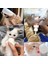 B Tarzı Yavru Kedi Köpek Süt Mama Seti Evcil Hayvan Yavru Mama Sulama Şişesi (Yurt Dışından) 5