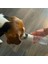 Stil 2 Sarı Stil 300ML Taşınabilir Köpek Su Şişesi Kase Suluk Kedi Köpek Tüyler Deri Gezgin Yavru Içme Dış Mekan Dispenser Aksesuarları (Yurt Dışından) 5