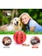 Kırmızı Stil M-6cm Köpek Diş Temizleme Topu Yumuşak Evcil Köpek Oyuncağı Etkileşimli Kauçuk Top Yavru Çiğneme Oyuncakları Top Gıda Çok Dayanıklı Kauçuk Top Köpek (Yurt Dışından) 3