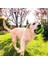 Kırmızı Stil Çap 4.8cm Köpek Oyuncak Top Diş Kaşıyıcı Dayanıklı Köpek Iq Oyuncağı Yavru Küçük Büyük Köpek Diş Temizliği Çiğneme Oynama Ödül Dağıtıcı (Yurt Dışından) 4