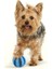 Kırmızı Stil Çap 4.8cm Köpek Oyuncak Top Diş Kaşıyıcı Dayanıklı Köpek Iq Oyuncağı Yavru Küçük Büyük Köpek Diş Temizliği Çiğneme Oynama Ödül Dağıtıcı (Yurt Dışından) 5