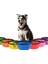 Mavi 350ML Stili Ev Hayvanı Katlanabilir Su Kabı L Silikon Katlanabilir Köpek Kapları Seyahat Köpek Taşınabilir Su Kabı Köpekler Için Yemek Kabı Pet Su Kabı (Yurt Dışından) 5