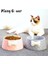 Pembe Tarzı Evcil Köpek Kedi Yavru Sevimli Kurdele Tasarımlı Mama Kabı - Turkish (Yurt Dışından) 2